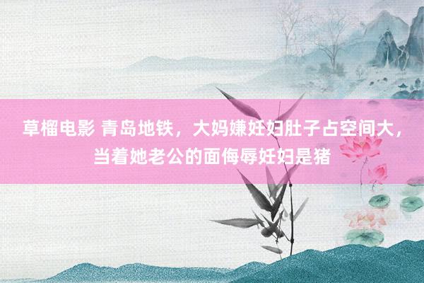 草榴电影 青岛地铁，大妈嫌妊妇肚子占空间大，当着她老公的面侮辱妊妇是猪