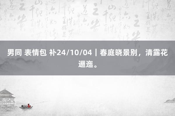 男同 表情包 补24/10/04|春庭晓景别,清露花逦迤。