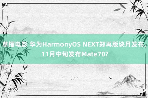 草榴电影 华为HarmonyOS NEXT郑再版块月发布， 11月中旬发布Mate70?