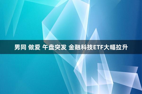 男同 做爱 午盘突发 金融科技ETF大幅拉升