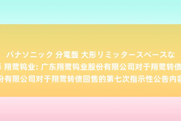 パナソニック 分電盤 大形リミッタースペースなし 露出・半埋込両用形 翔鹭钨业: 广东翔鹭钨业股份有限公司对于翔鹭转债回售的第七次指示性公告内容节录