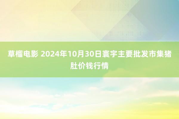 草榴电影 2024年10月30日寰宇主要批发市集猪肚价钱行情