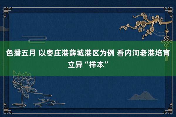 色播五月 以枣庄港薛城港区为例 看内河老港培育立异“样本”