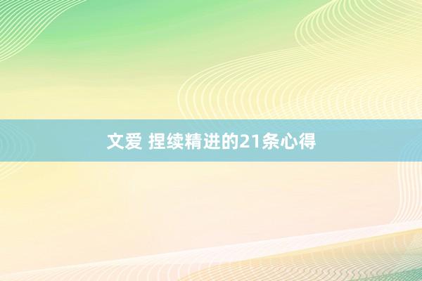 文爱 捏续精进的21条心得