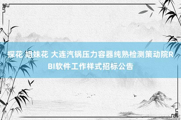探花 姐妹花 大连汽锅压力容器纯熟检测策动院RBI软件工作样式招标公告