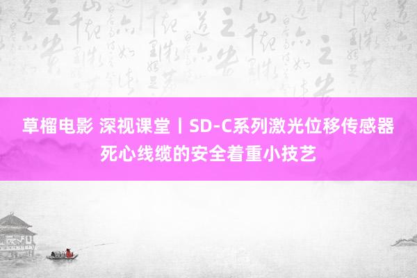 草榴电影 深视课堂丨SD-C系列激光位移传感器死心线缆的安全着重小技艺