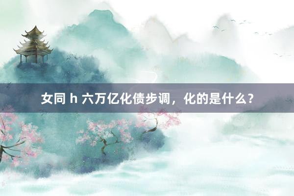 女同 h 六万亿化债步调，化的是什么？