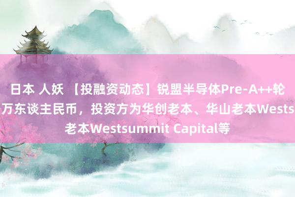 日本 人妖 【投融资动态】锐盟半导体Pre-A++轮融资，融资额数千万东谈主民币，投资方为华创老本、华山老本Westsummit Capital等