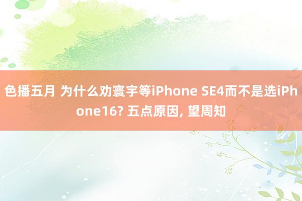 色播五月 为什么劝寰宇等iPhone SE4而不是选iPhone16? 五点原因， 望周知