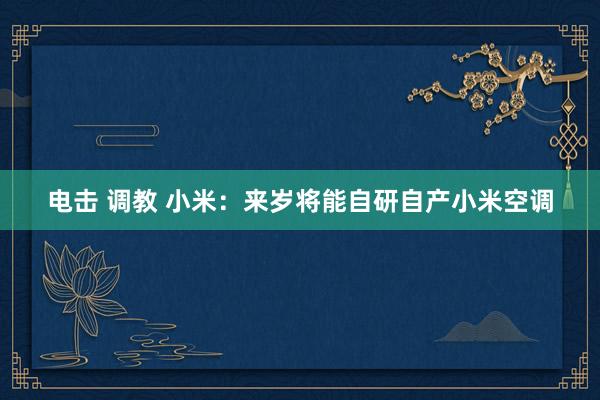 电击 调教 小米：来岁将能自研自产小米空调