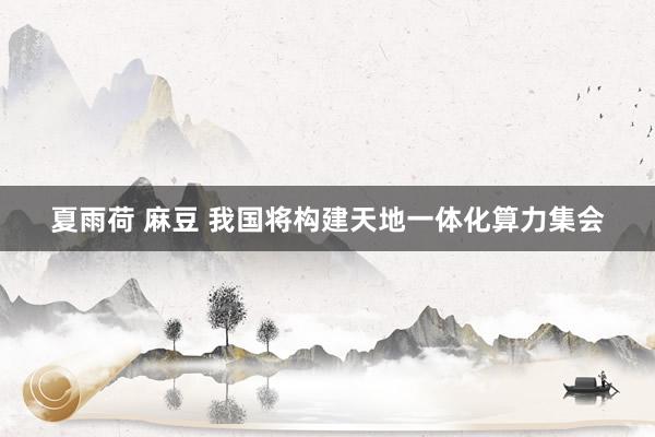 夏雨荷 麻豆 我国将构建天地一体化算力集会