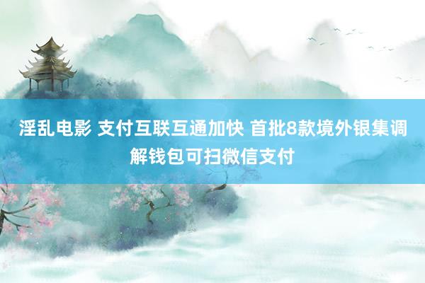 淫乱电影 支付互联互通加快 首批8款境外银集调解钱包可扫微信支付