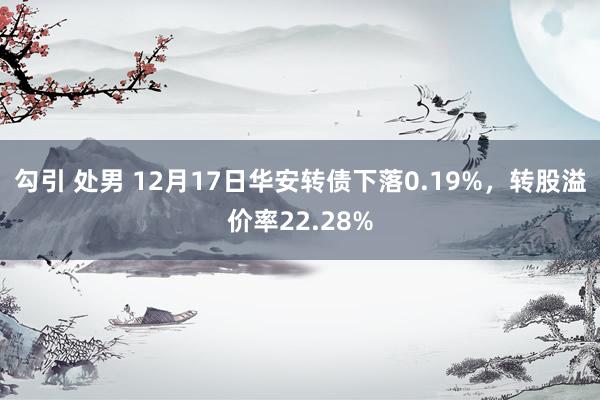 勾引 处男 12月17日华安转债下落0.19%，转股溢价率22.28%