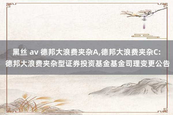 黑丝 av 德邦大浪费夹杂A,德邦大浪费夹杂C: 德邦大浪费夹杂型证券投资基金基金司理变更公告