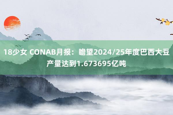 18少女 CONAB月报：瞻望2024/25年度巴西大豆产量达到1.673695亿吨