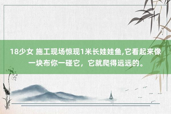 18少女 施工现场惊现1米长娃娃鱼，它看起来像一块布你一碰它，它就爬得远远的。
