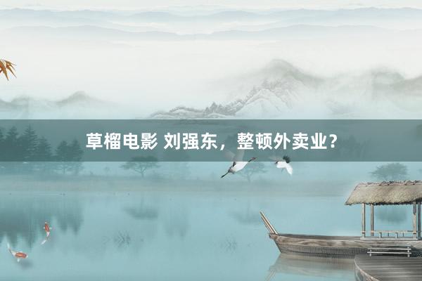 草榴电影 刘强东，整顿外卖业？