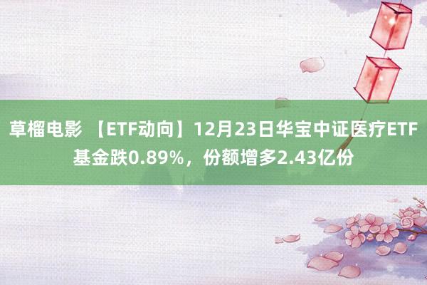 草榴电影 【ETF动向】12月23日华宝中证医疗ETF基金跌0.89%，份额增多2.43亿份