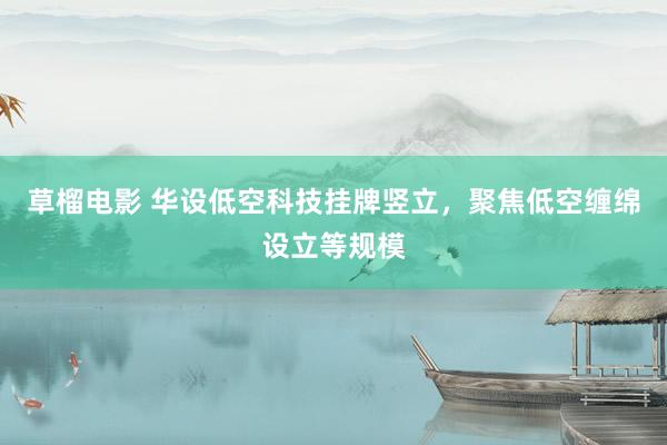 草榴电影 华设低空科技挂牌竖立，聚焦低空缠绵设立等规模