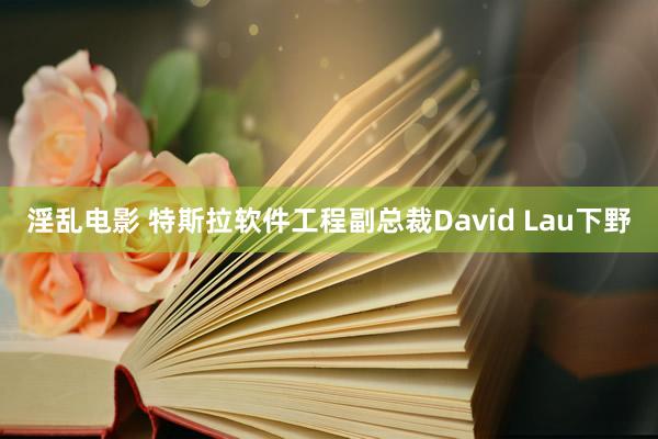 淫乱电影 特斯拉软件工程副总裁David Lau下野