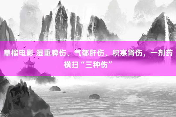 草榴电影 湿重脾伤、气郁肝伤、积寒肾伤，一剂药横扫“三种伤”