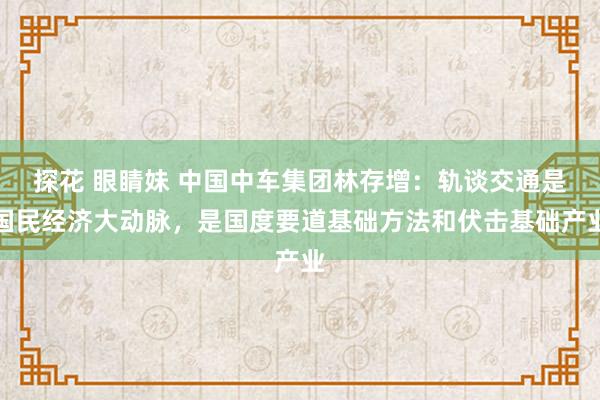 探花 眼睛妹 中国中车集团林存增：轨谈交通是国民经济大动脉，是国度要道基础方法和伏击基础产业