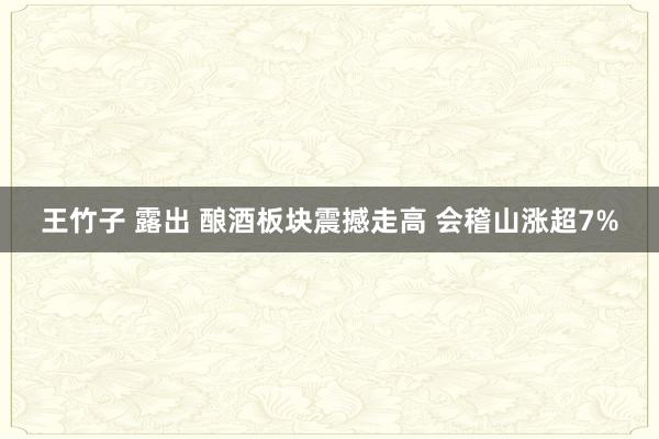 王竹子 露出 酿酒板块震撼走高 会稽山涨超7%