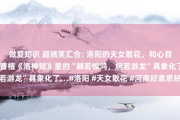 做爱知识 超搞笑汇合: 洛阳的天女散花，和心目中的小少女一模通常。曹植《洛神赋》里的“翩若惊鸿，婉若游龙”具象化了…#洛阳 #天女散花 #河南好意思好推选官
